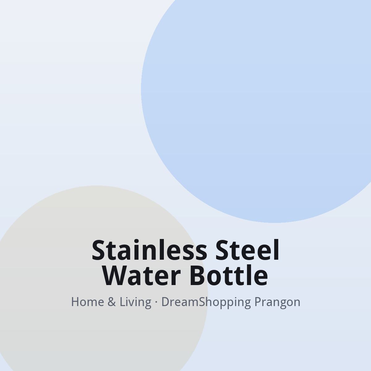 Stainless Steel Water Bottle